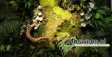Junglewand Moswens Plantenwand 02