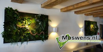 Junglewand Moswens Plantenwand 03