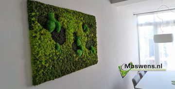Mosschilderij mossenmix eetkamer
