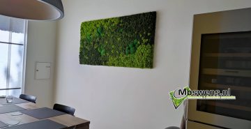 Mosschilderij keuken mossenmix mosmuur