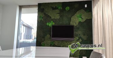 Moswand met TV mossenmix
