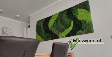 Mosschilderij mossenmix organic