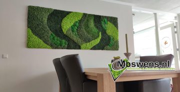 Mosschilderij mossenmix organic