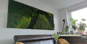 Mosschilderij woonkamer boven bank