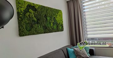 Mosschilderij woonkamer mossenmix bij bank