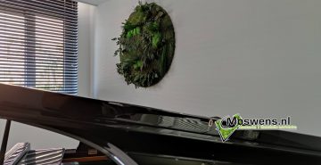 Jungleschilderij ronde junglewand boven piano