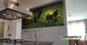 mosmuur keuken mossenmix mosschilderij moswens