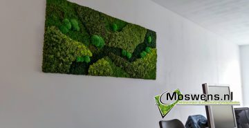 Mosschilderij Moswand mosmuur