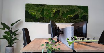 mosschilderij op kantoor verschillende mossen