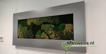 Moswand in Mobilane frame