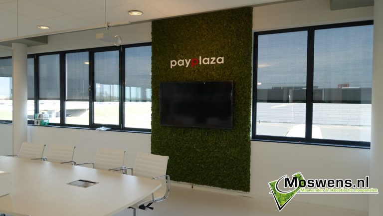 Payplaza Amsterdam Moswand Trappenhal Moswens.nl (2)