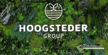 Junglewand plantenwand met logo kantoor