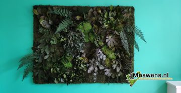 Junglewand plantenwand met woonkamer