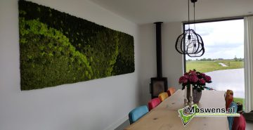 Mossenmix mosschilderij