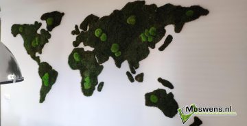 wereldkaart mos