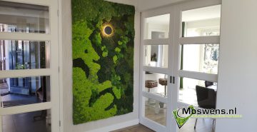 Mosschilderij mossenmix