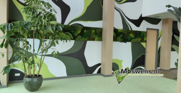 Mosstrook met groen behang