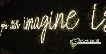 Neon in een moswand Detail letters Imagine