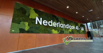 Nederlandlaan 40 Zoetermeer Moswand