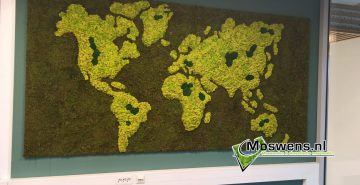 Moswand met wereldkaart